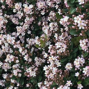 Meet your Posher, Kathryn